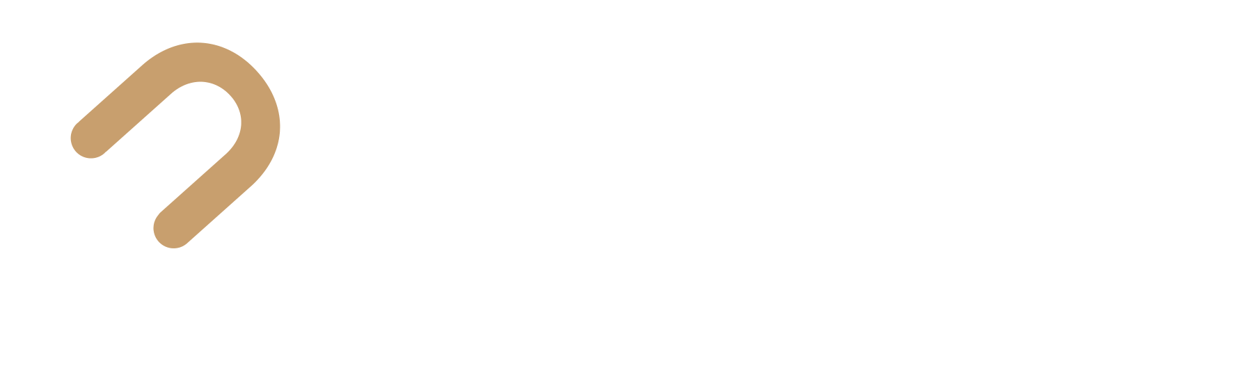 Securo Partnership Programme